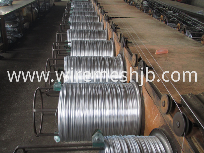 Galvanized Iron Wire